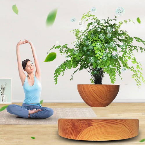 Магнітний левітаційний горщик для рослин HCNT Magnetic Levitating Pot M10-PS Wood Grain