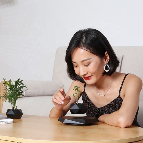 Магнітний левітаційний горщик для рослин HCNT Magnetic Levitating Pot M10-PZ1 Black