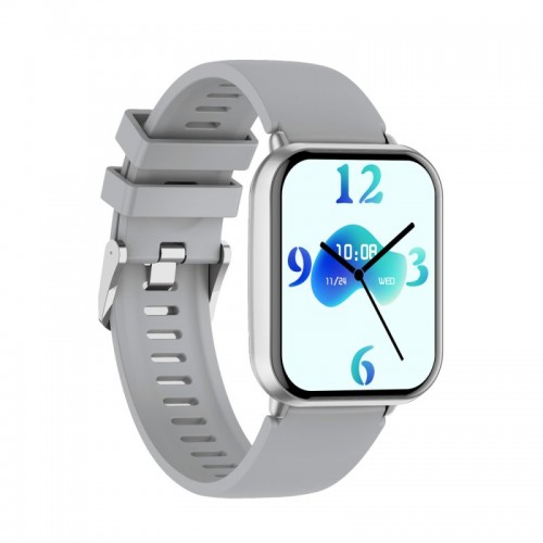 Умные часы WIWU Smart Watch SW09 Silver