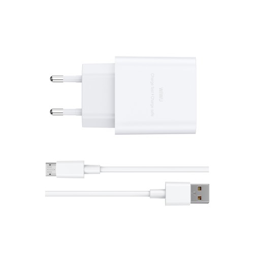 Сетевое зарядное устройство WIWU 2.4A Essen GaN Fast Charger Combo с кабелем A-M Wi-G023 A-M EU White