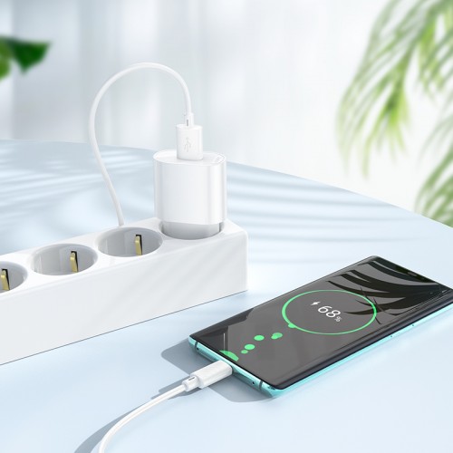 Мережевий зарядний пристрій з кабелем HOCO C109A(10.5W) Fighter single port charger set(Type-C) White