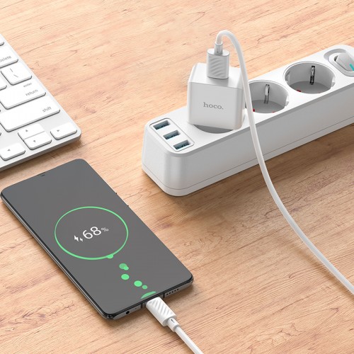 Сетевое зарядное устройство с кабелем HOCO C106A Leisure, комплект с одним портом (Micro) 10,5 Вт, белый