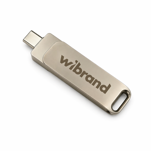 Портативний SSD Wibrand Wolf 1TB USB 3.2 Gen.2 Type-C/Type-A Read/Write 1000MB/s Silver