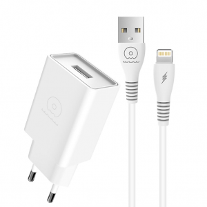 Мережевий зарядний пристрій з кабелем WUW-T82 Single USB home charger set type-c