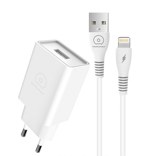 Мережевий зарядний пристрій з кабелем WUW-T82 Single USB home charger set type-c