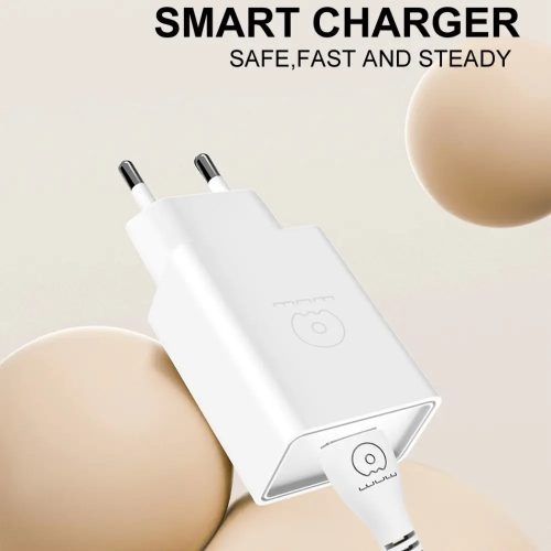 Мережевий зарядний пристрій з кабелем WUW-T82 Single USB home charger set type-c