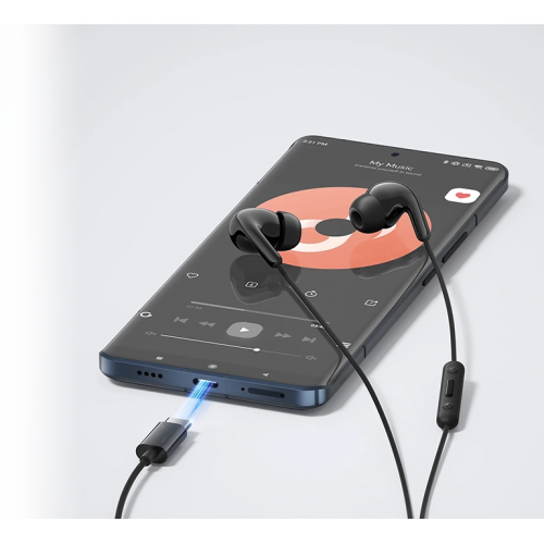 Проводные вакуумные наушники с микрофоном Xiaomi Type-C Earphones Black