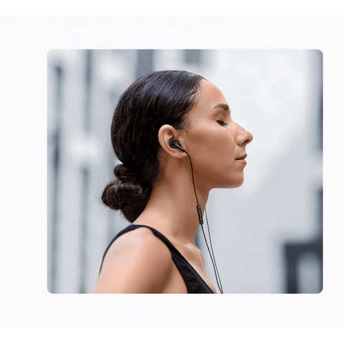 Проводные вакуумные наушники с микрофоном Xiaomi Type-C Earphones Black