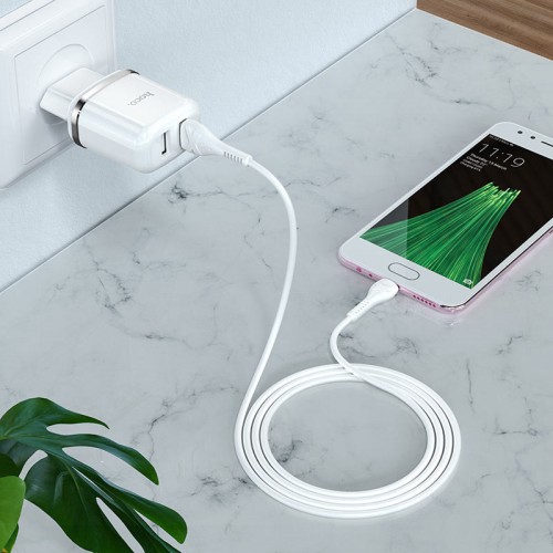 МЗП Hoco N4 (2USB/2.4A) + Type-C