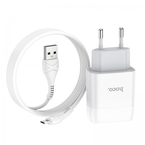 Сетевое зарядное устройство Hoco C73A (2USB/2.4A) + microUSB White
