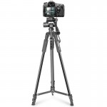Штатив NeePho NP-8840 для зйомки 66-170см з розборним тримачем у чохлі