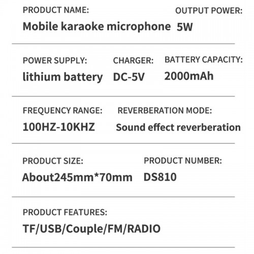 Караоке Микрофон-колонка DS810