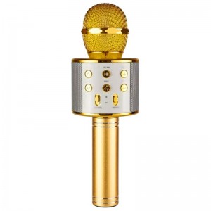 Караоке Мікрофон-колонка WS858