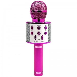 Караоке Мікрофон-колонка WS858