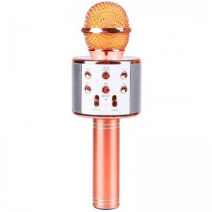 Караоке Мікрофон-колонка WS858