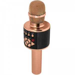 Караоке Мікрофон-колонка D169